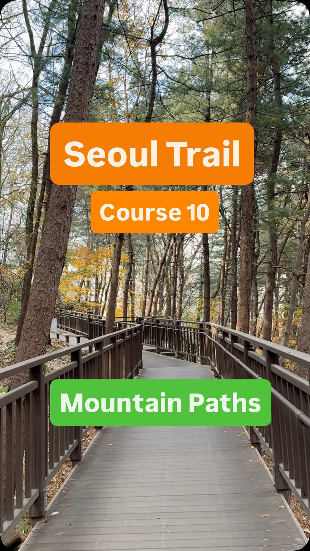 Seoul's Mountain Paths And Hidden Gems