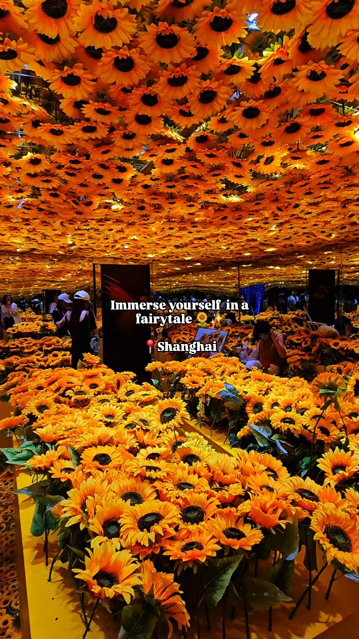 3 Places in Shang Hai Shi
