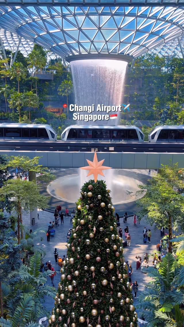 Singapore Changi Airport's Top Features