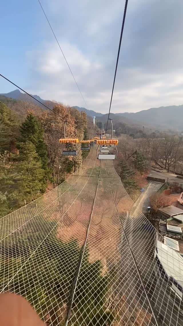 Seoul Grand Park Zoo Adventures