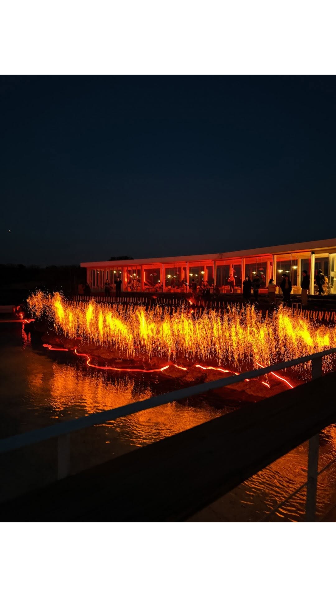 Flowave Jeju: Daily Sunset Lava Flower Festival