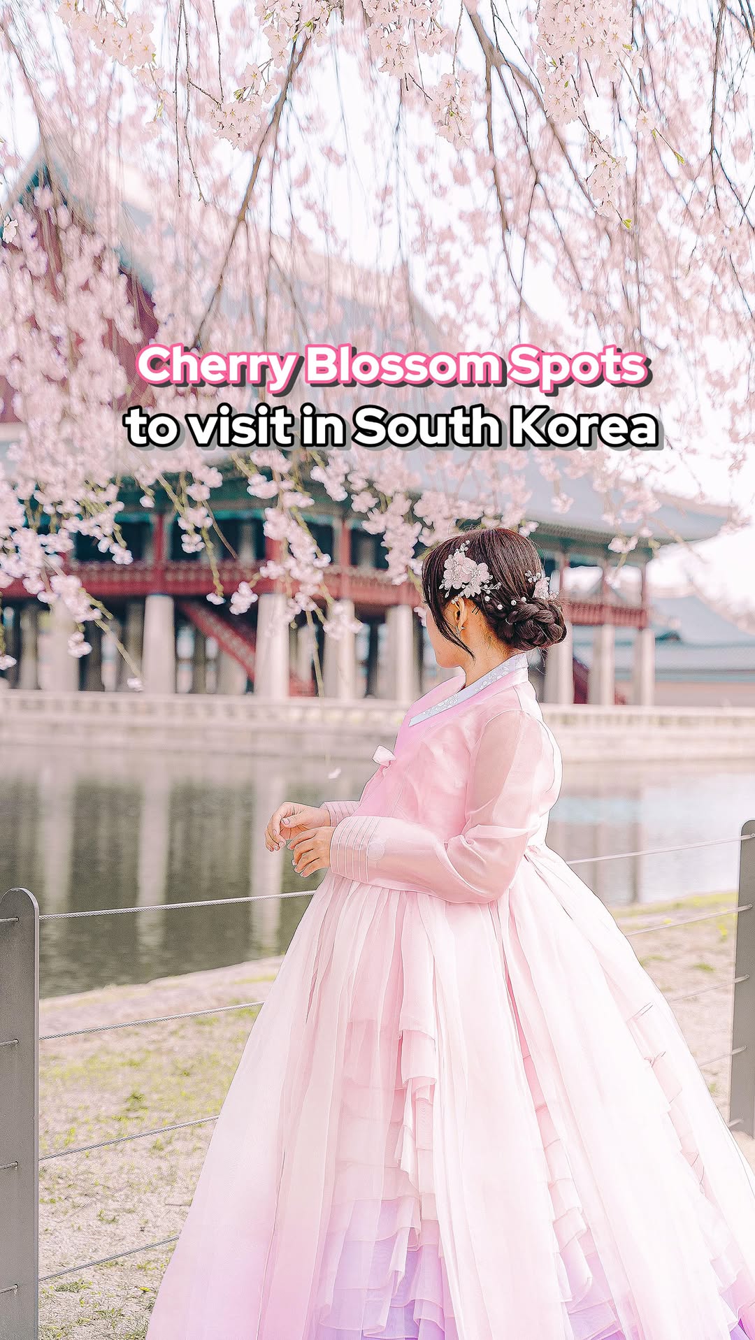 South Korea's Top Cherry Blossom Viewing Spots