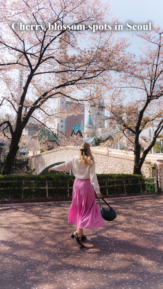 Best Places For Cherry Blossoms In Seoul