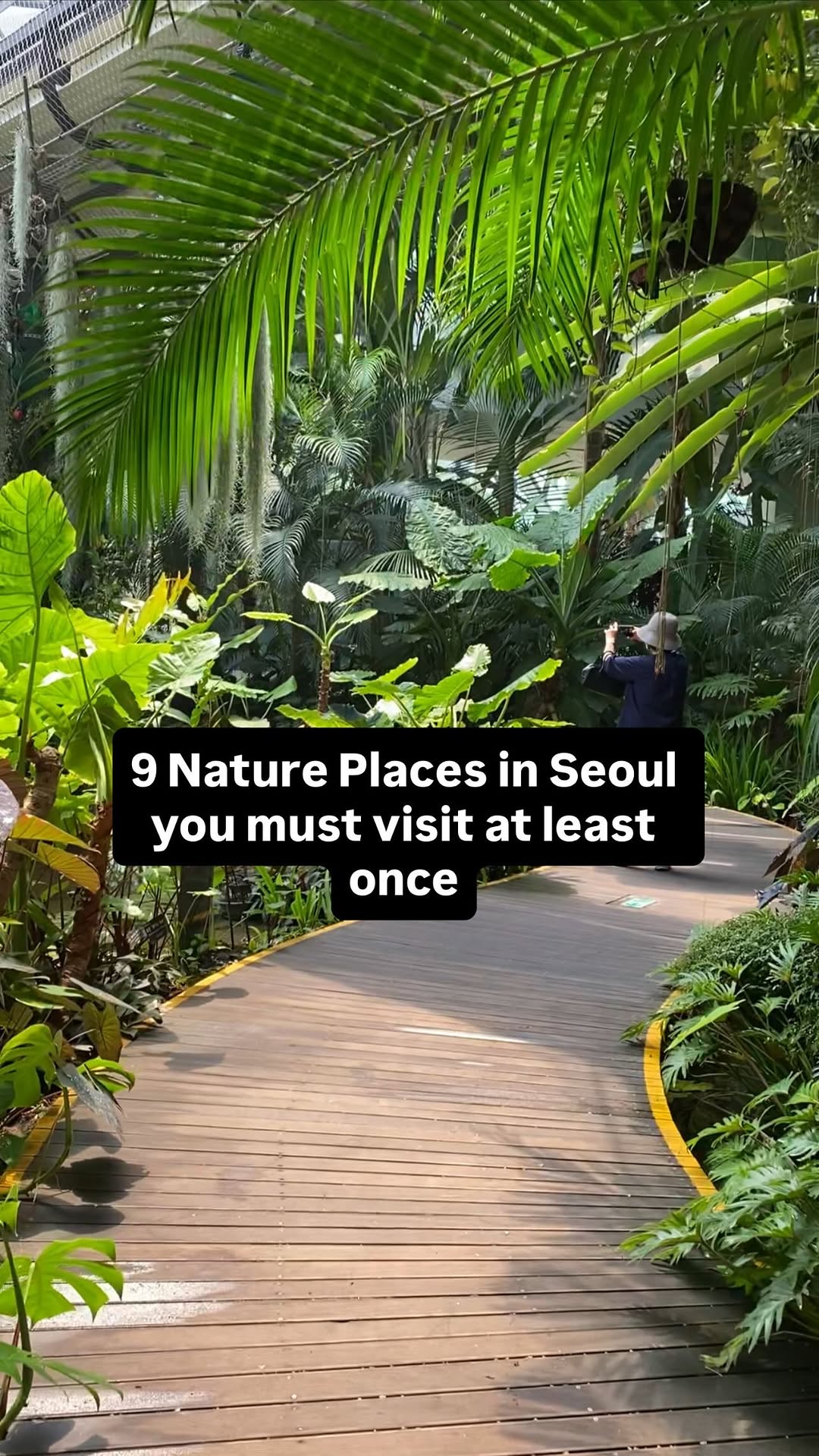 Explore Seoul's Scenic Parks and Natural Wonders
