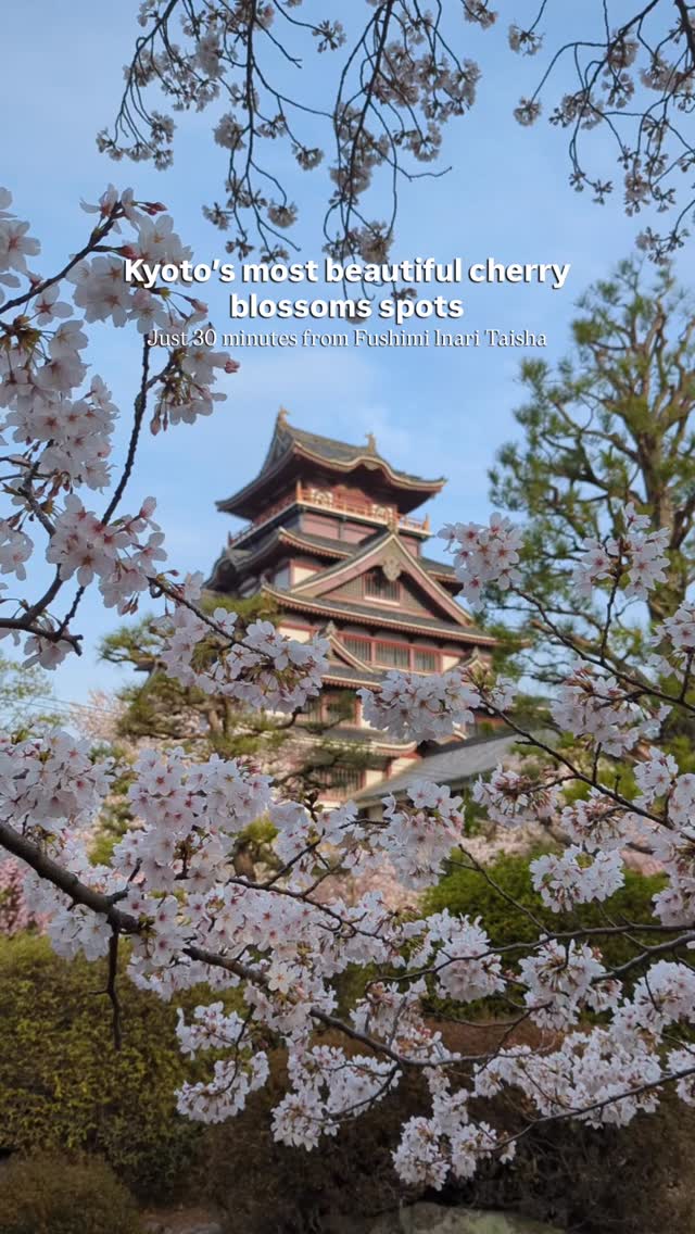 6 Places in Kyoto