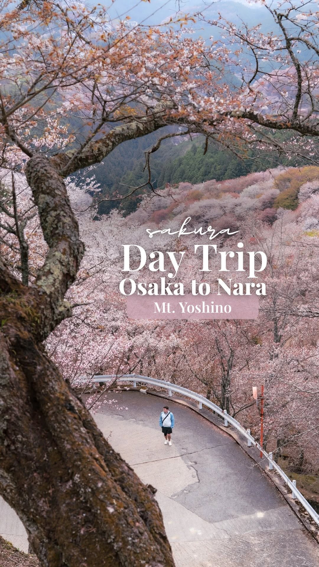 5 Attractions in Yoshino