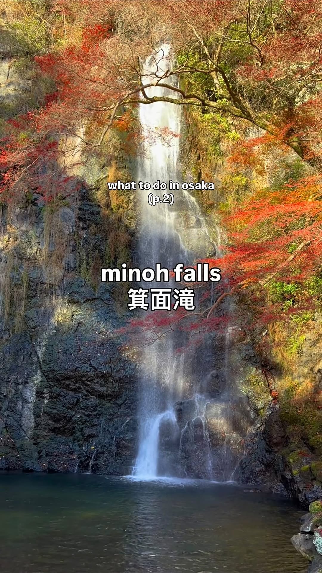 Minoh: Falls, Temples, and Insectarium