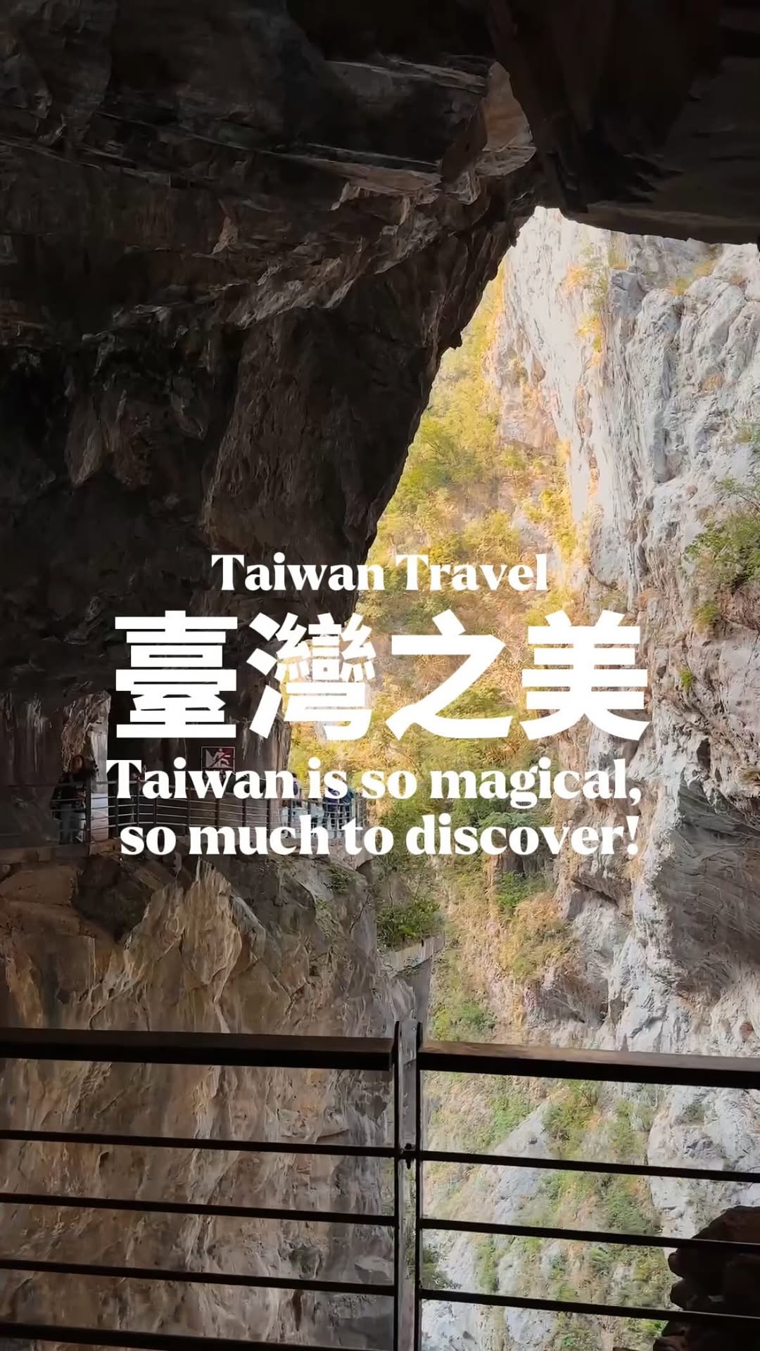 Discover Taiwan's Natural Beauty and Peaks