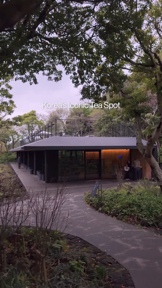 Jeju's Tea Museum: Architecture and Nature Blend