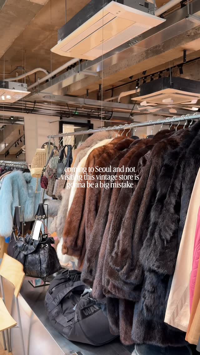 Sinsa-dong And Seoul Forest Vintage Finds