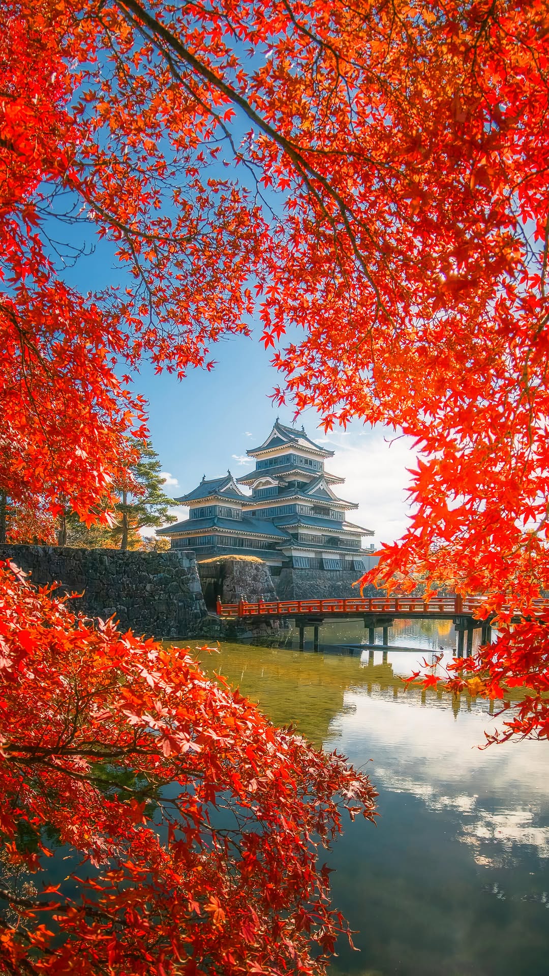 11 Attractions in Japan