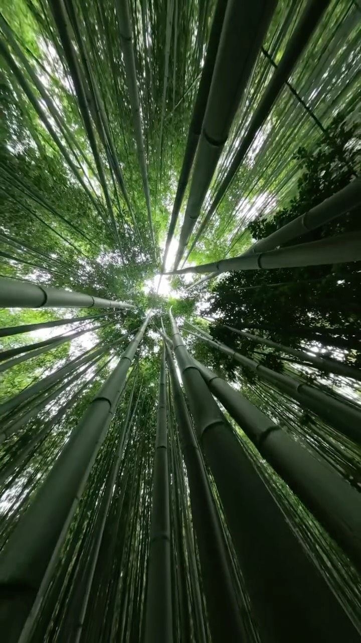 6 Places in Japan