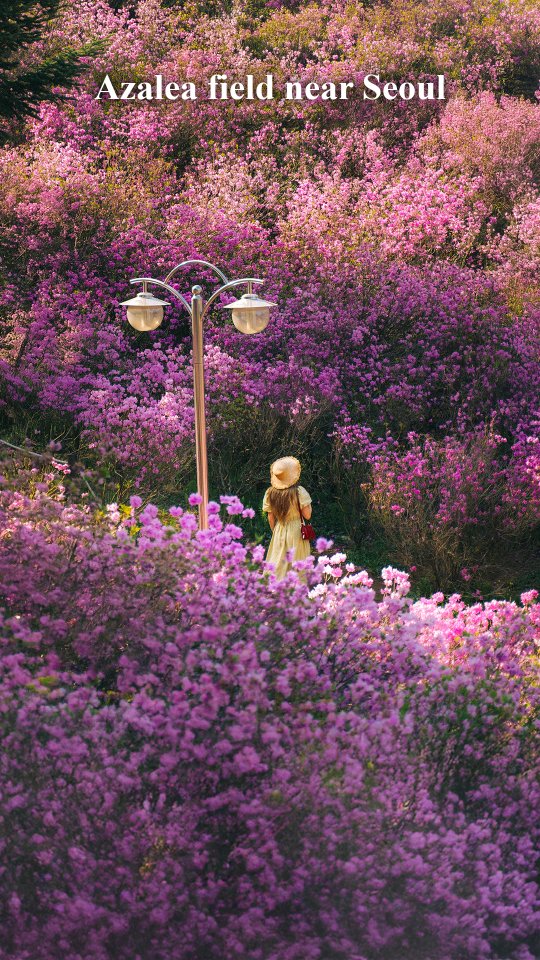 3 Parks in Bucheon