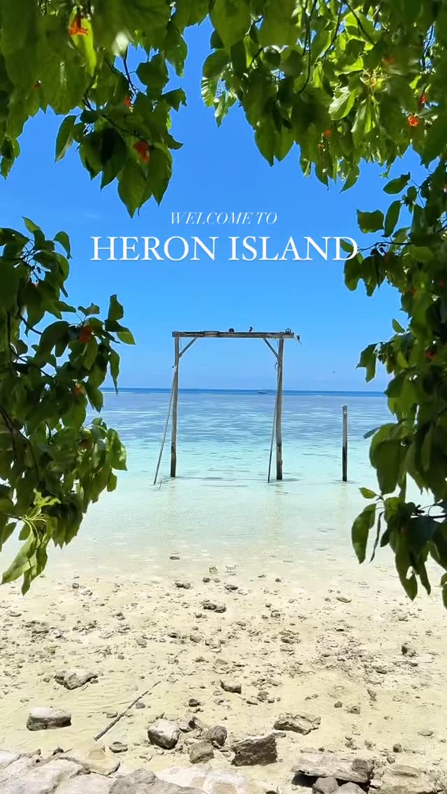 Heron Island Joins Great Barrier Reef Wonders