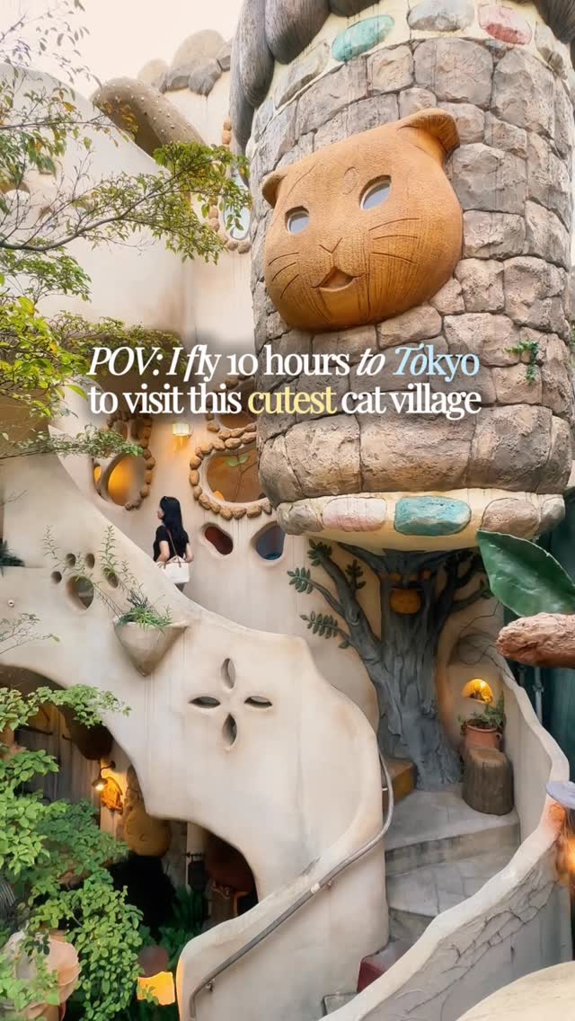 Kichijōji Cat Cafe Offers Ghibli-esque Charm