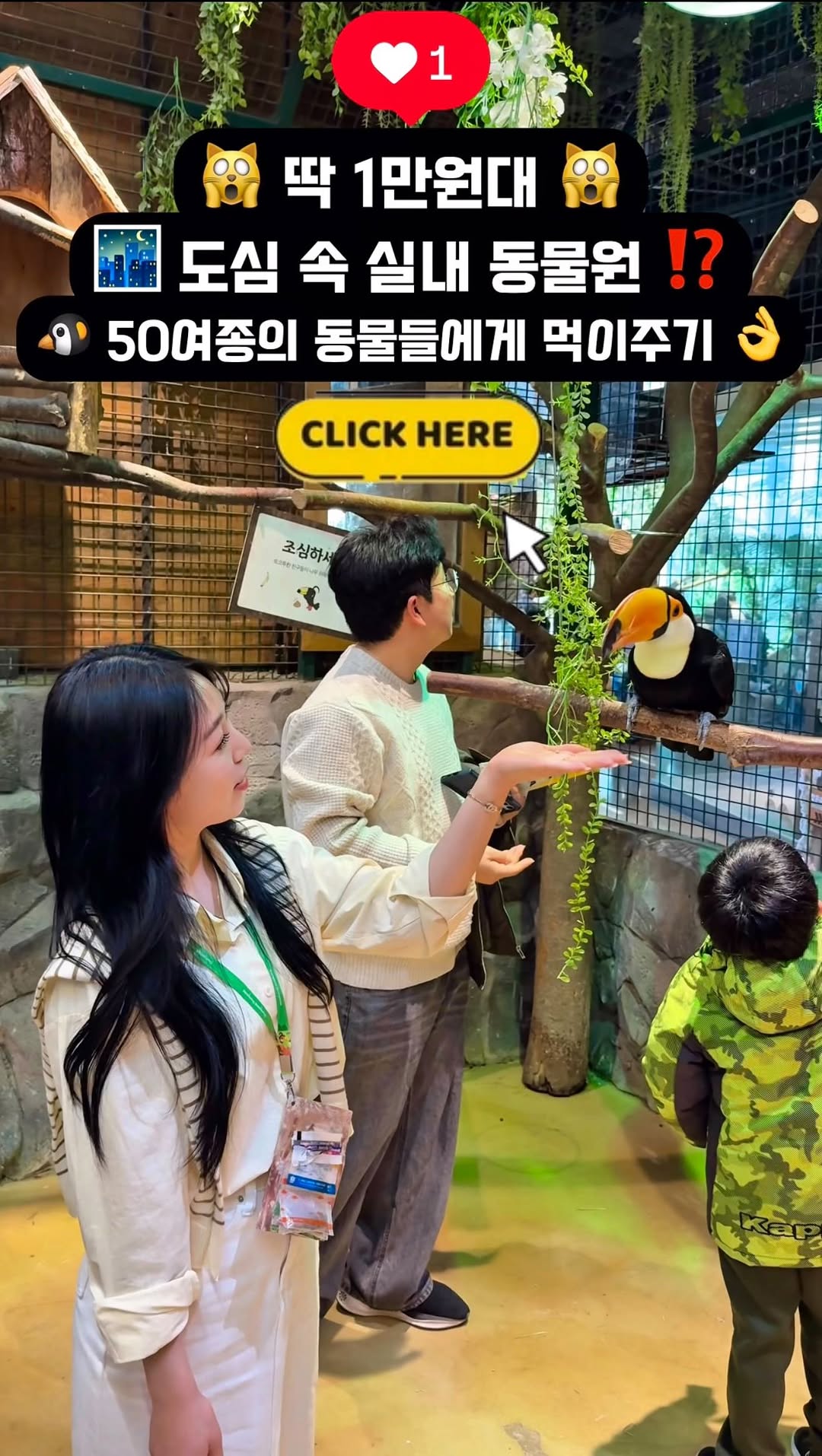 Indoor Zoos for Animal Encounters and Activities