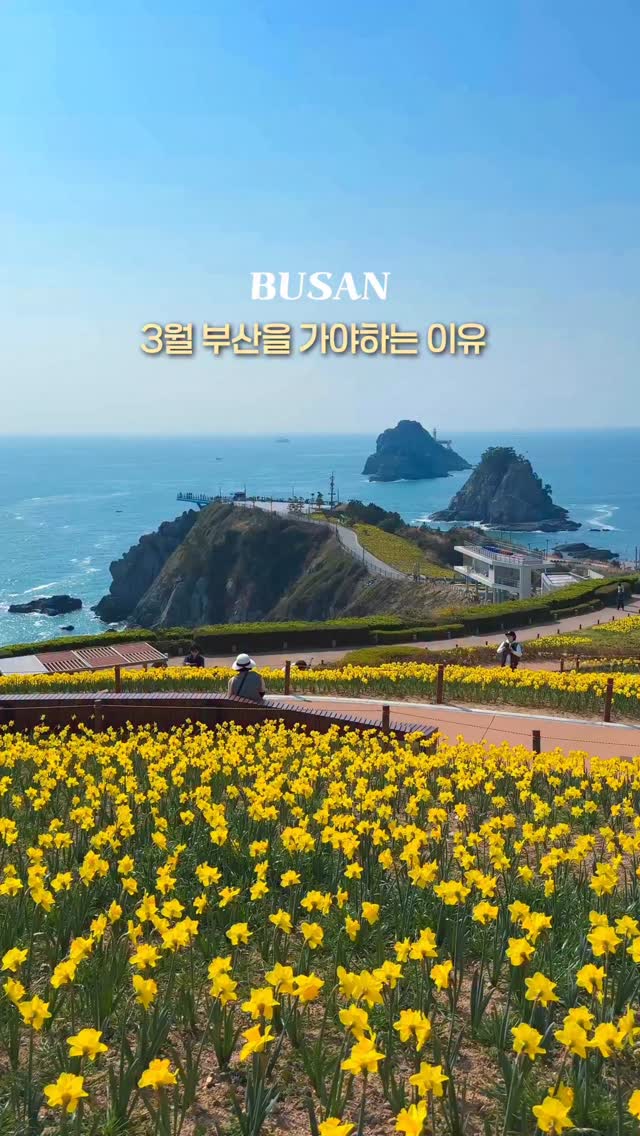 Discover Busan's Scenic Beauty and Urban Charm