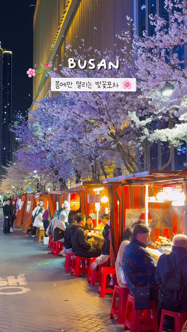 Cherry Blossom Food Stalls Near Lotte Department Store