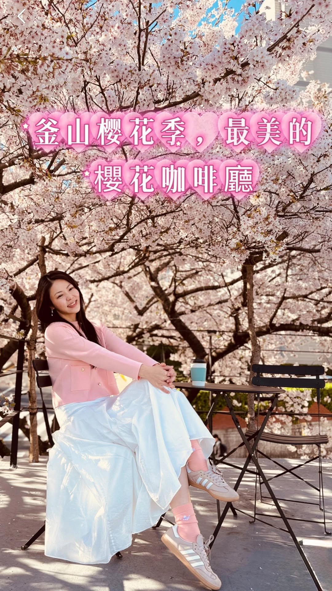 Busan Cafe Boasts Stunning Cherry Blossom Views