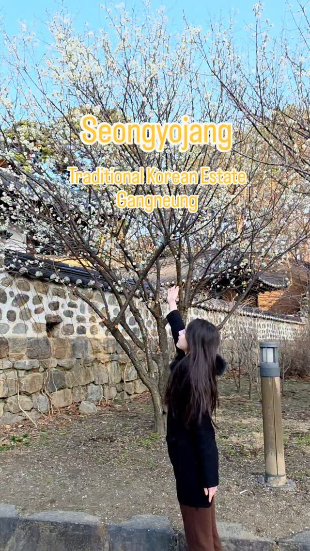 Seongyojang House: A Tranquil Glimpse into Korean Lifestyle