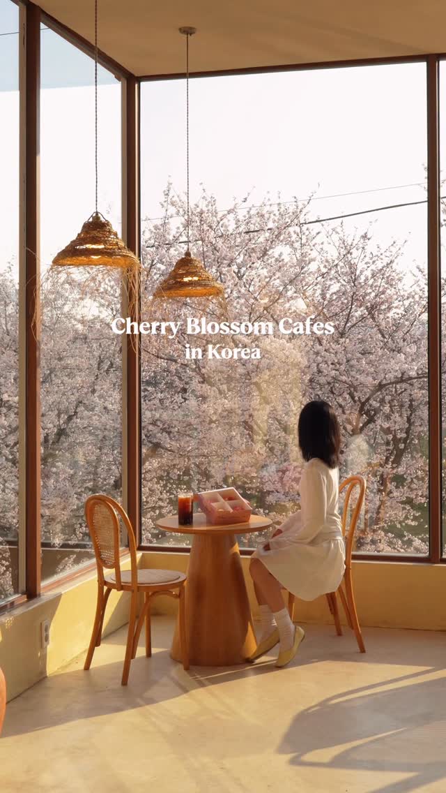 5 Cafes in Cheju