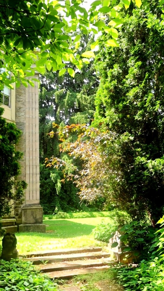5 Parks in Ontario