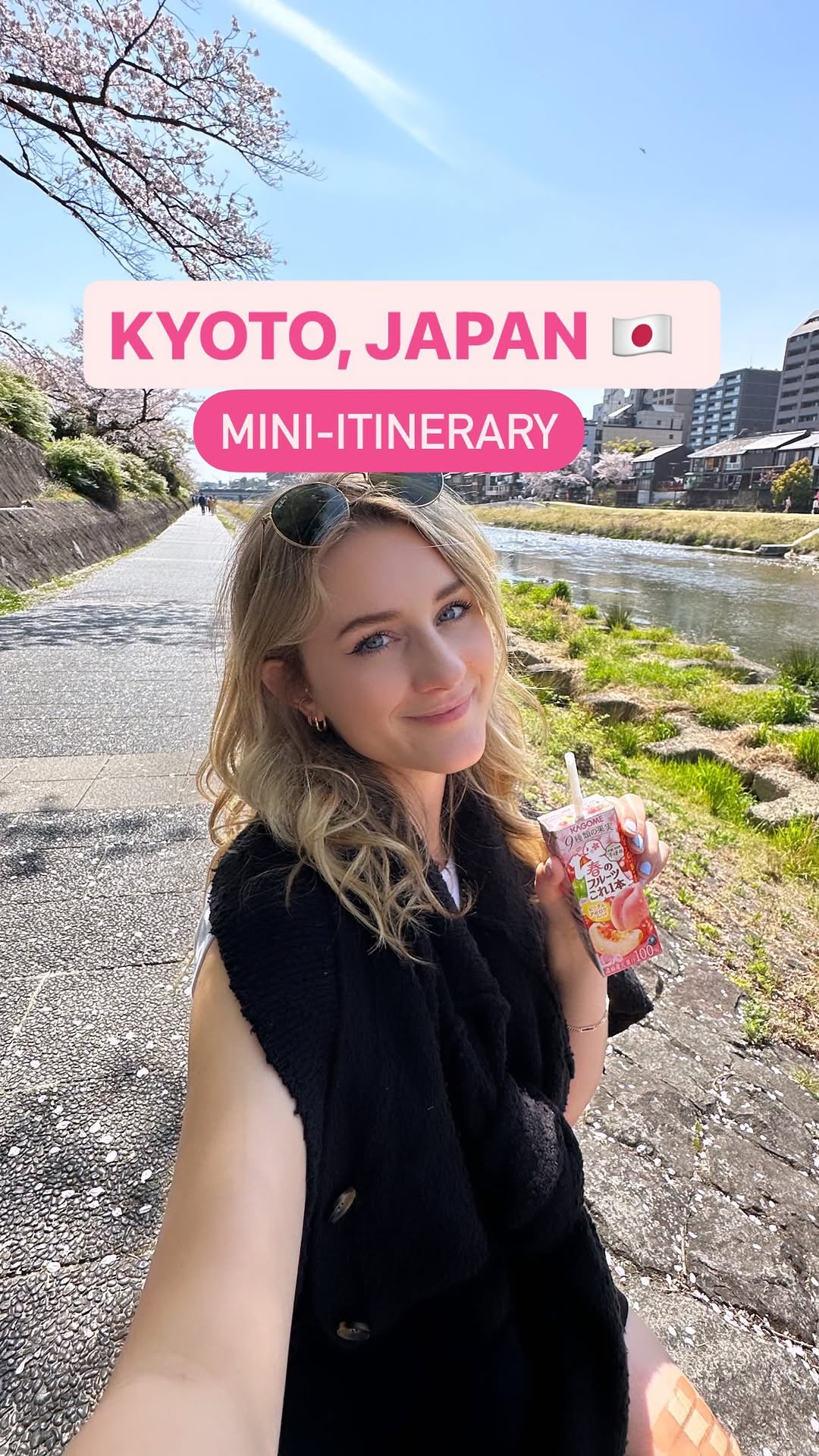 Kyoto's Top Attractions, Stays, and Dining Experiences