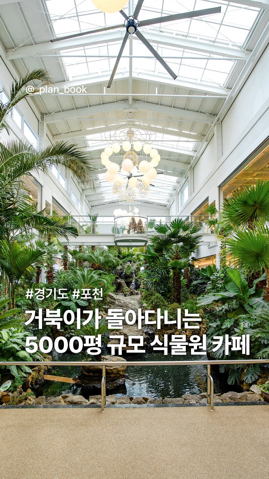 Giant Botanical Garden Cafe With Roaming Turtles