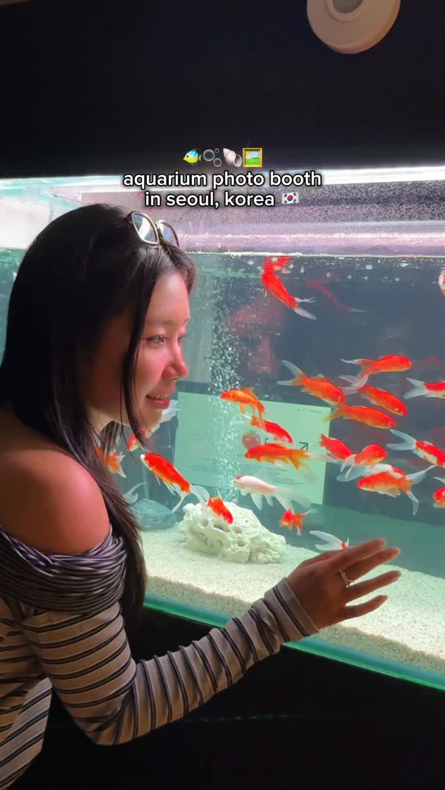 Starfield Library and Seongsu's Photolab+ Library