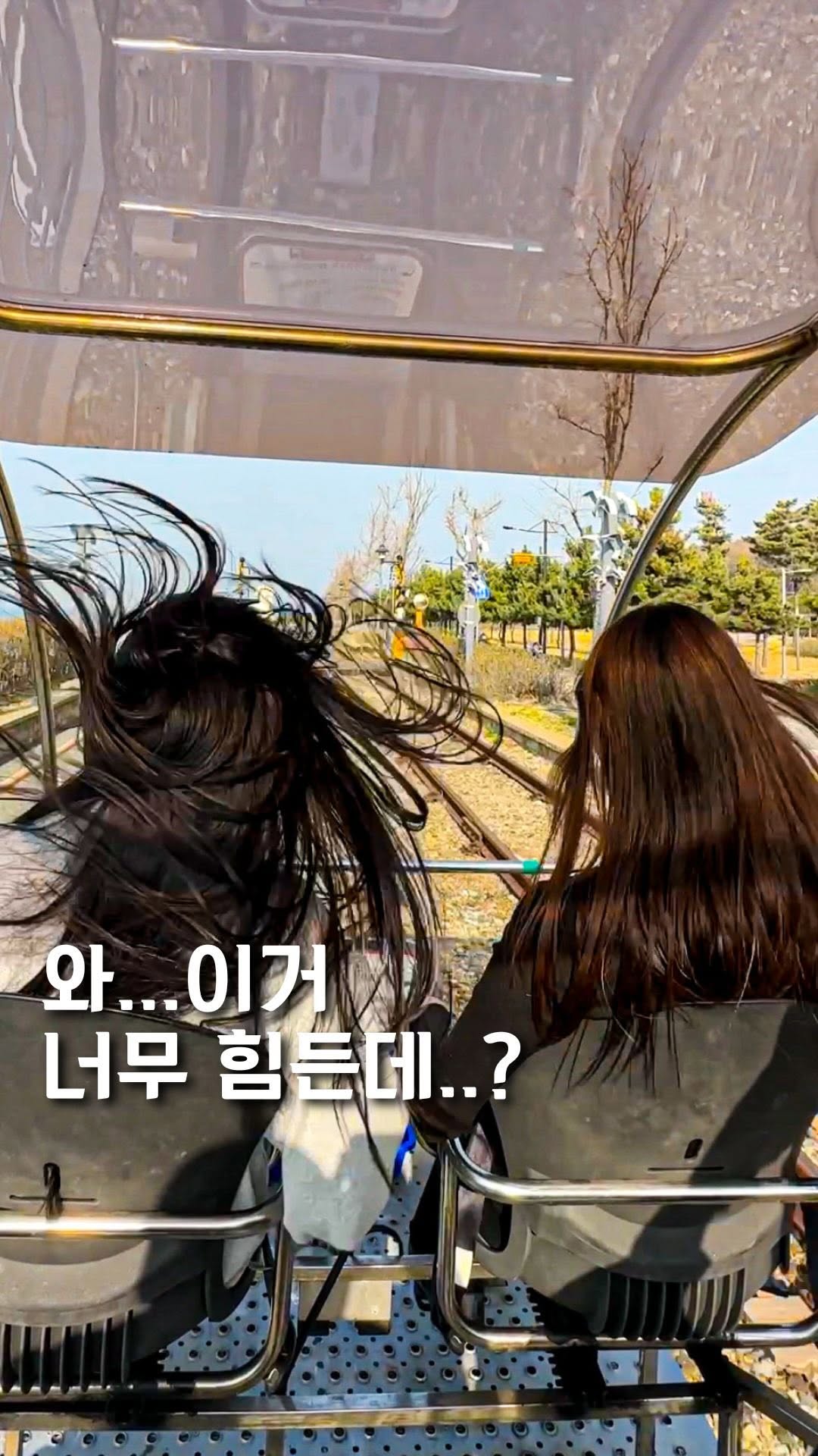Day Trip to Coastal and City Spots Near Seoul