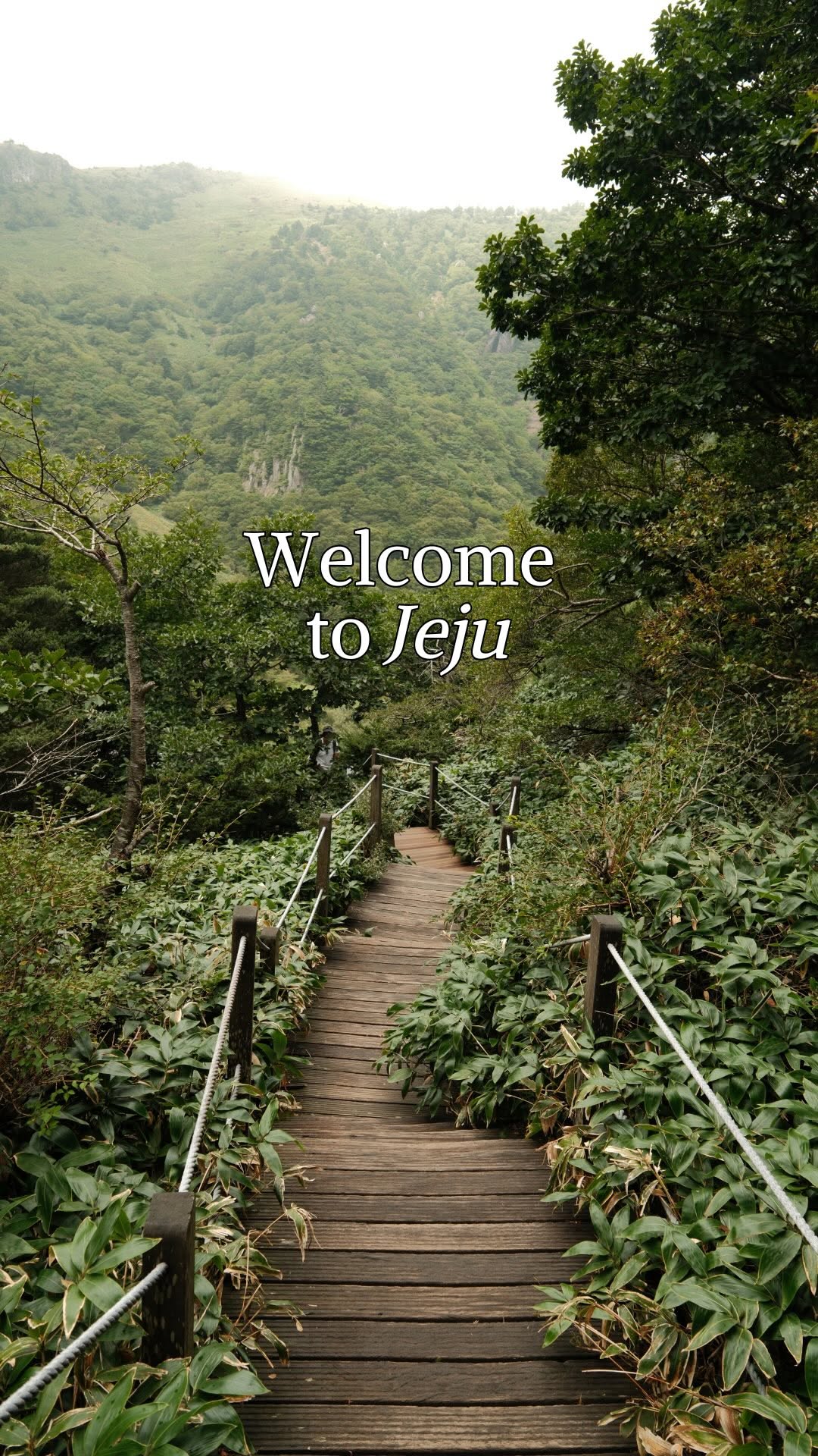 23 Places in Seogwipo