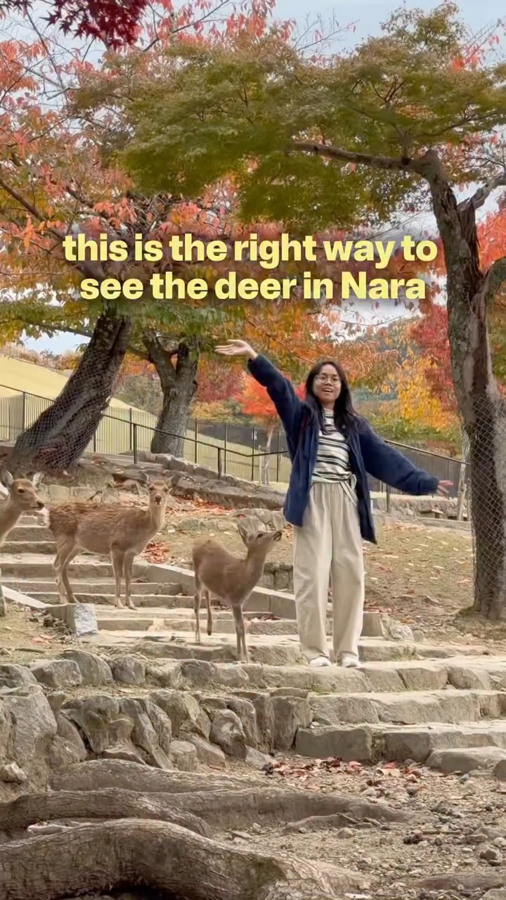 Nara's Top Attractions For A Pleasant Visit