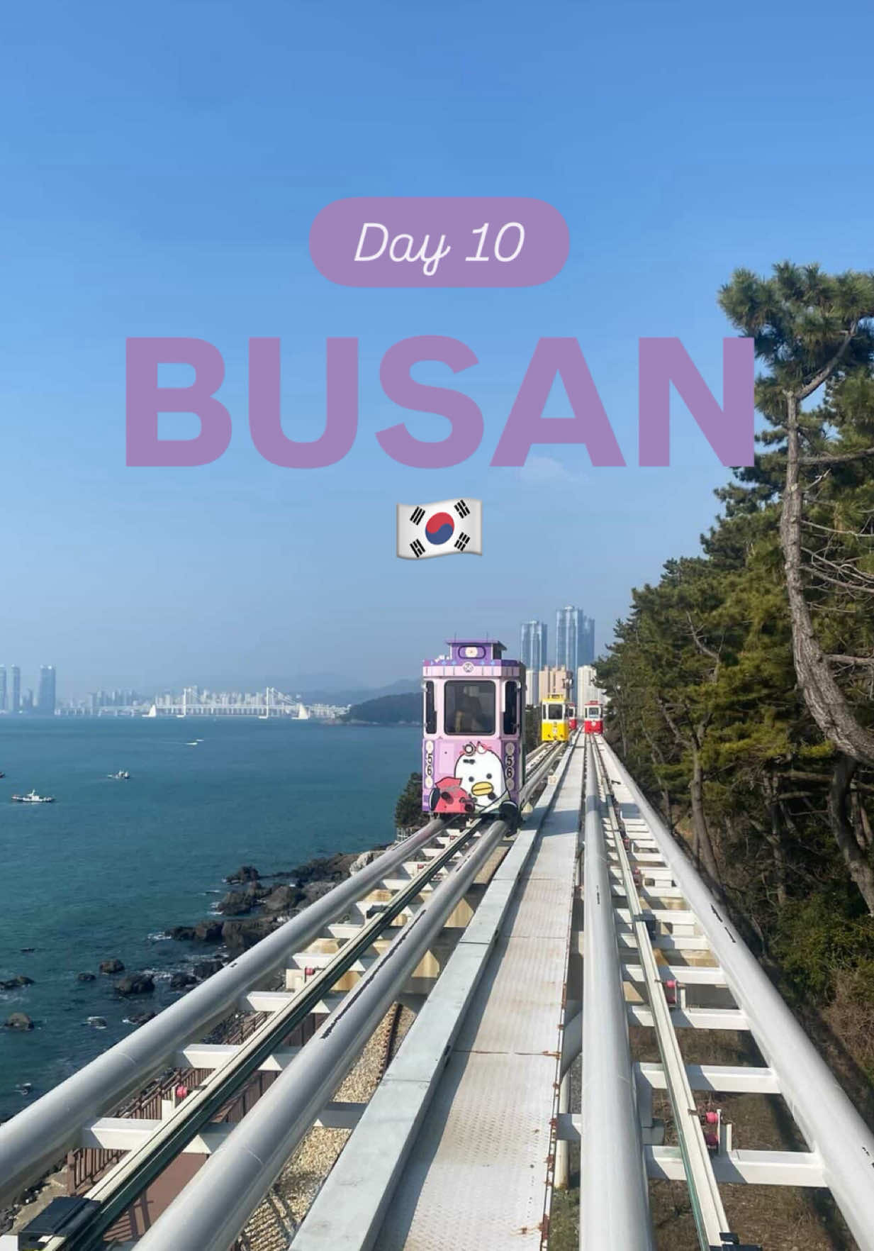 Busan Beachfront Attractions And Vibrant Markets