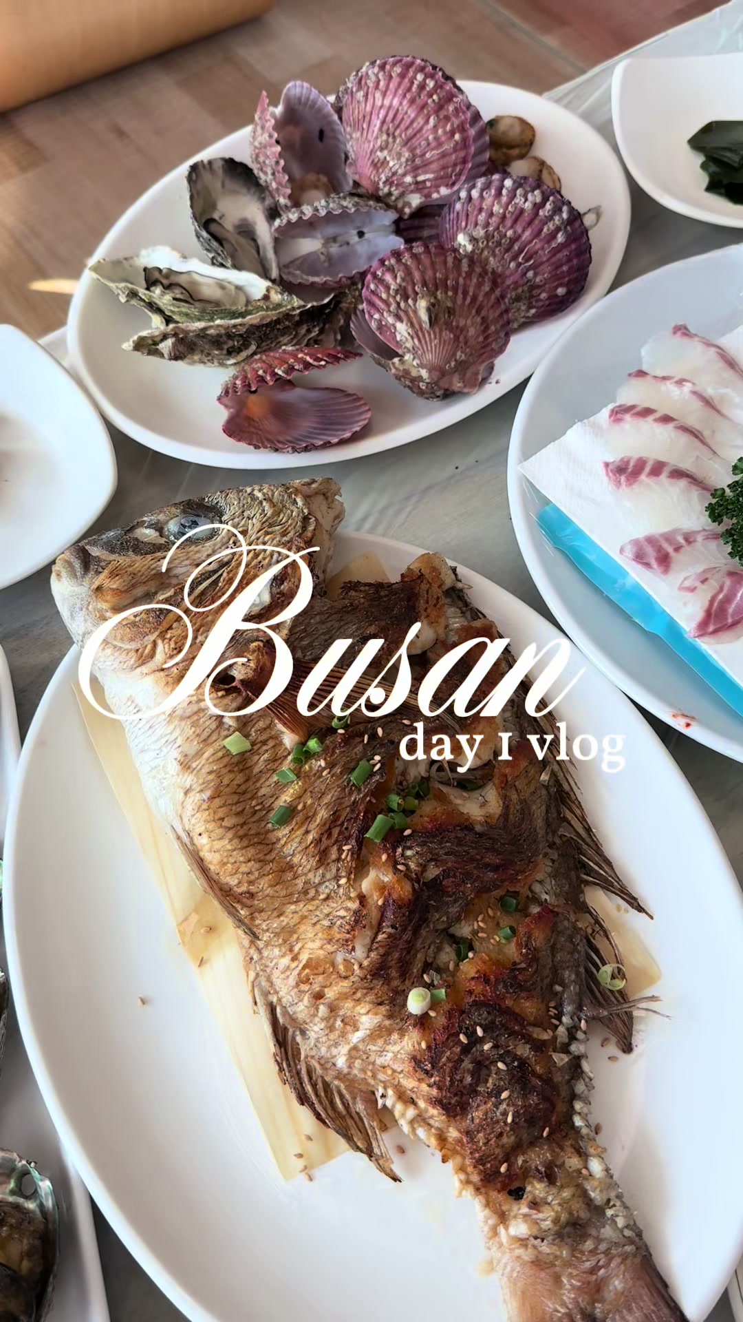 7 Places in Busan