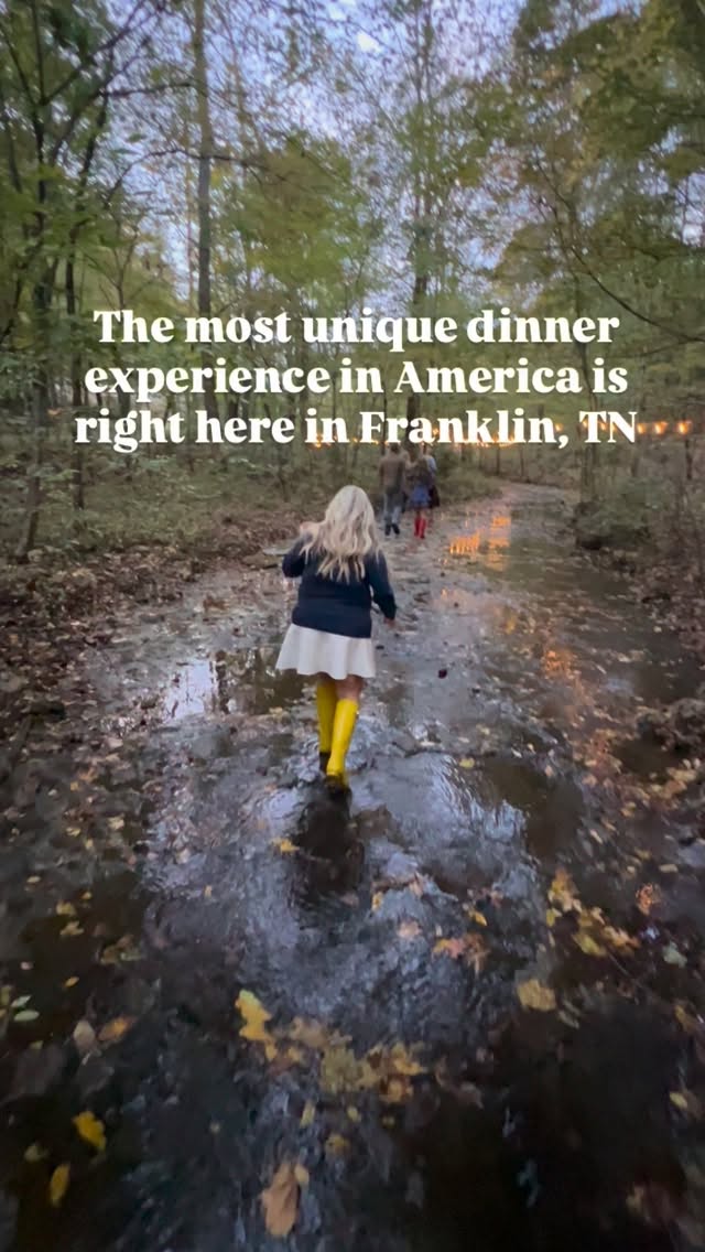 Franklin's Magical Dinner In The Creek