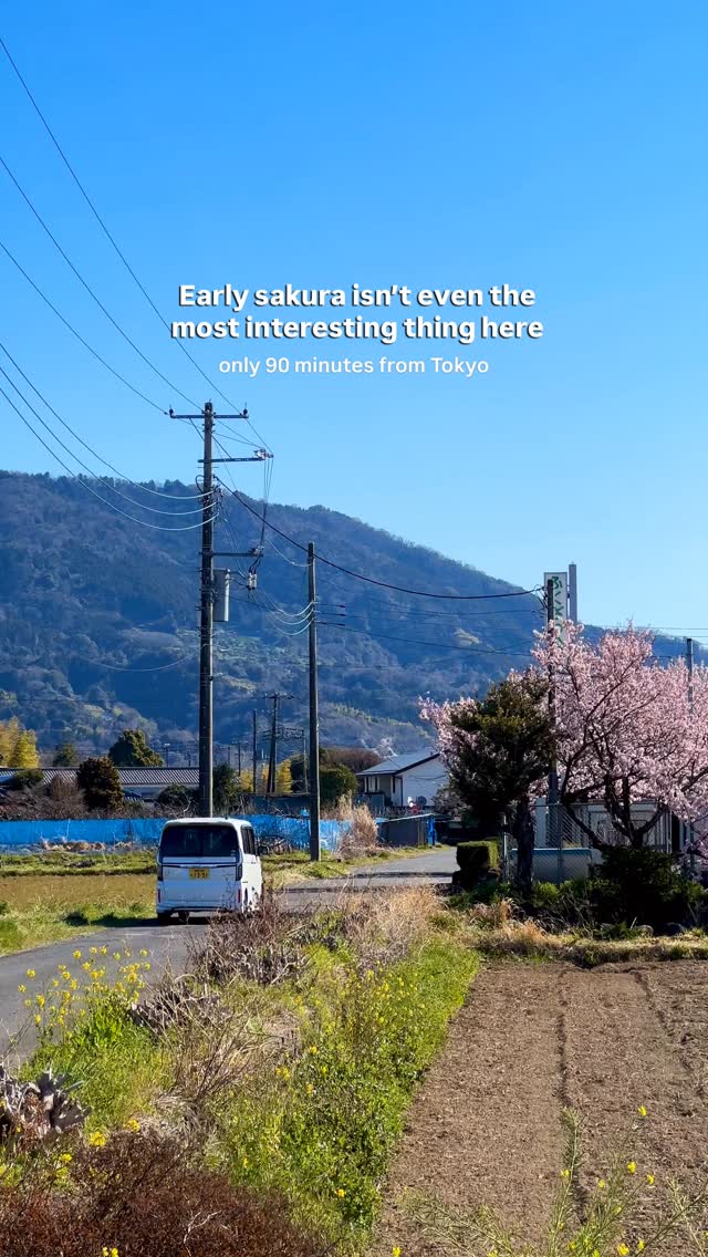 7 Places in Kanagawa