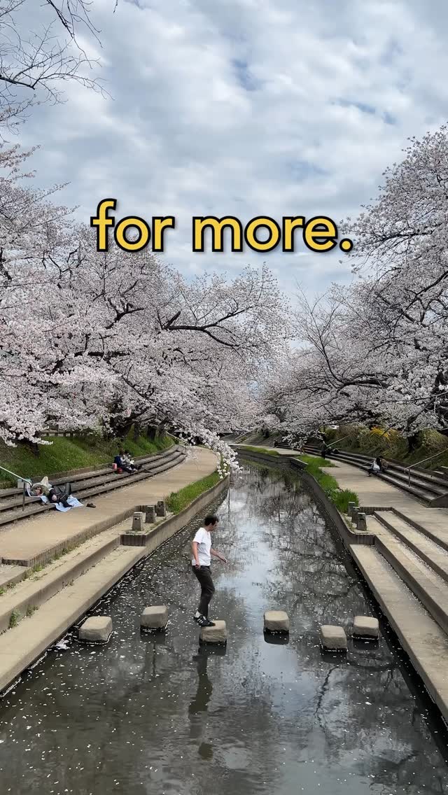 5 Places in Saitama