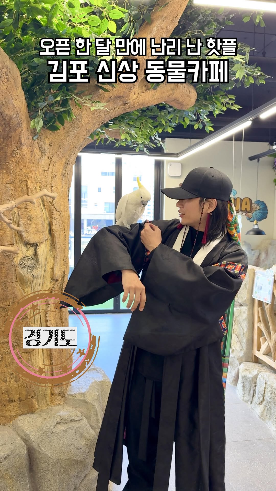 Guppy+Coffee: A New Animal Cafe Experience