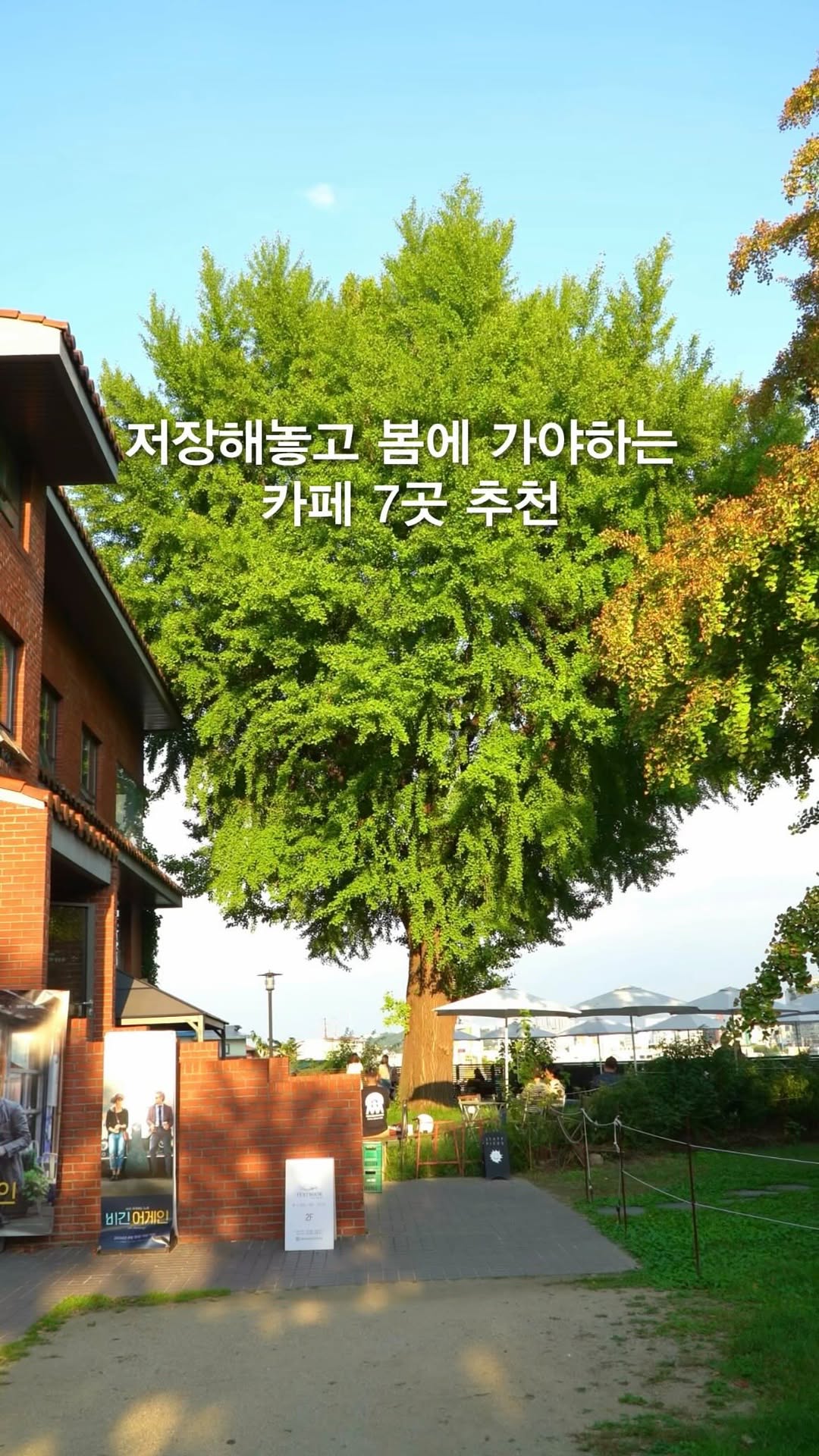 7 Cafes in Seoul