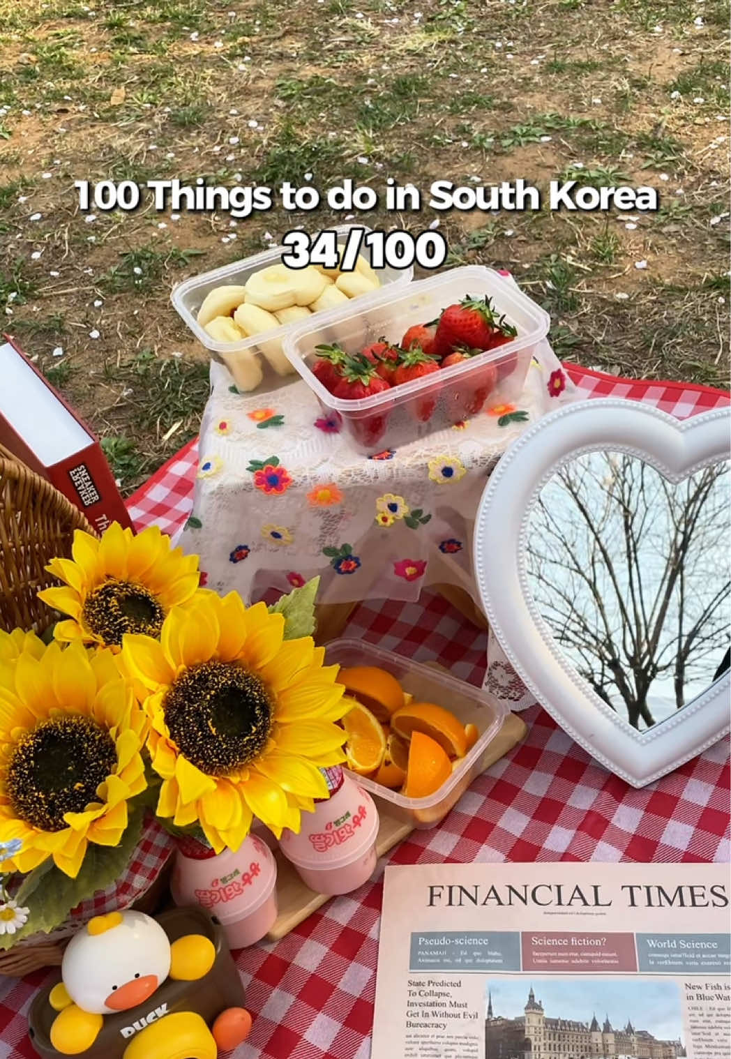 Seoul Children's Grand Park Cherry Blossom Picnic