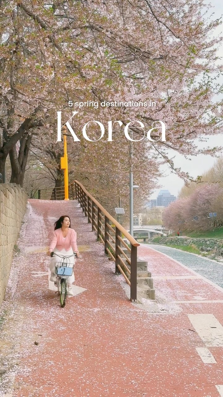 5 Parks in South Korea