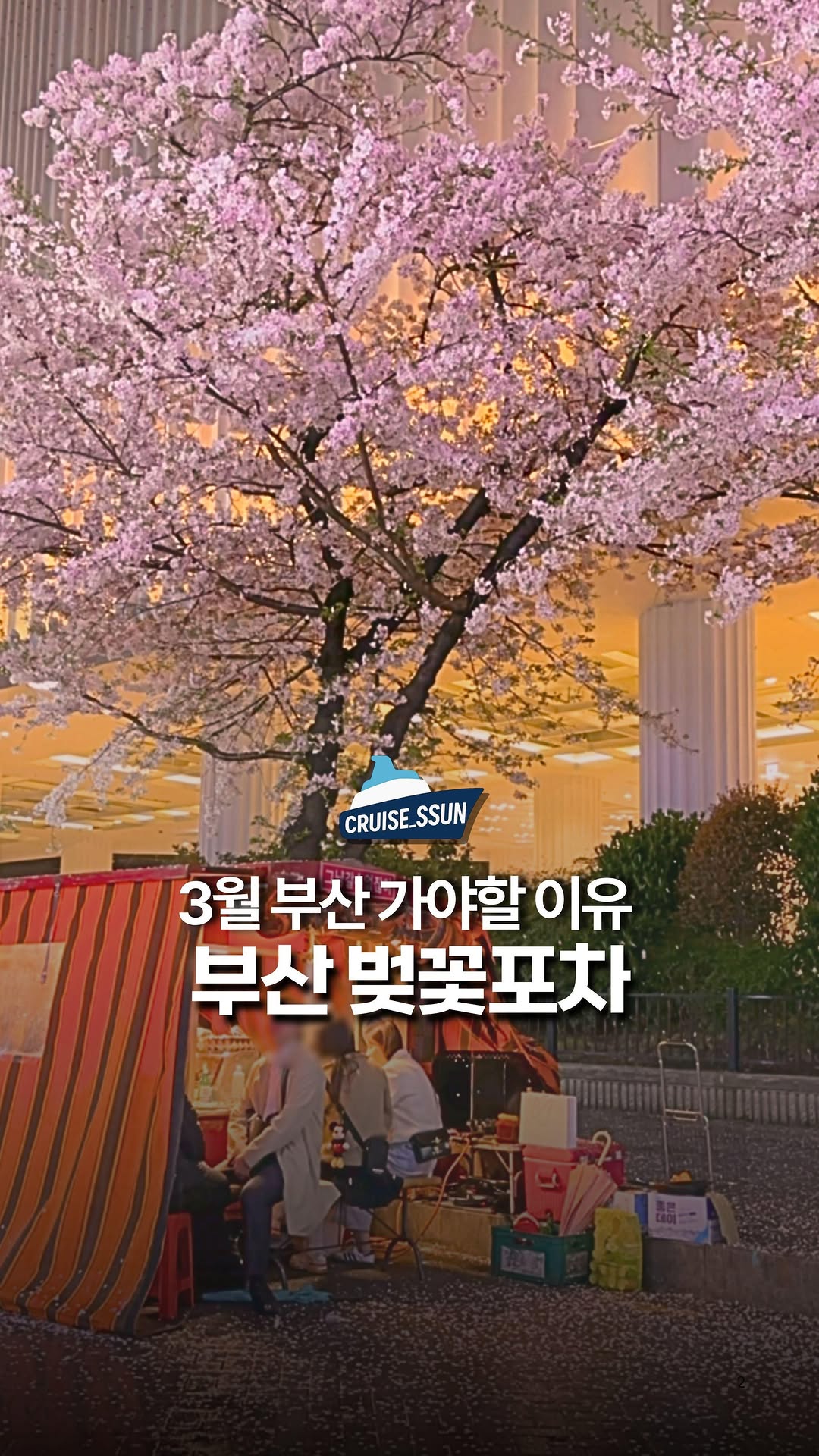 Cherry Blossom Food Streets in Busan