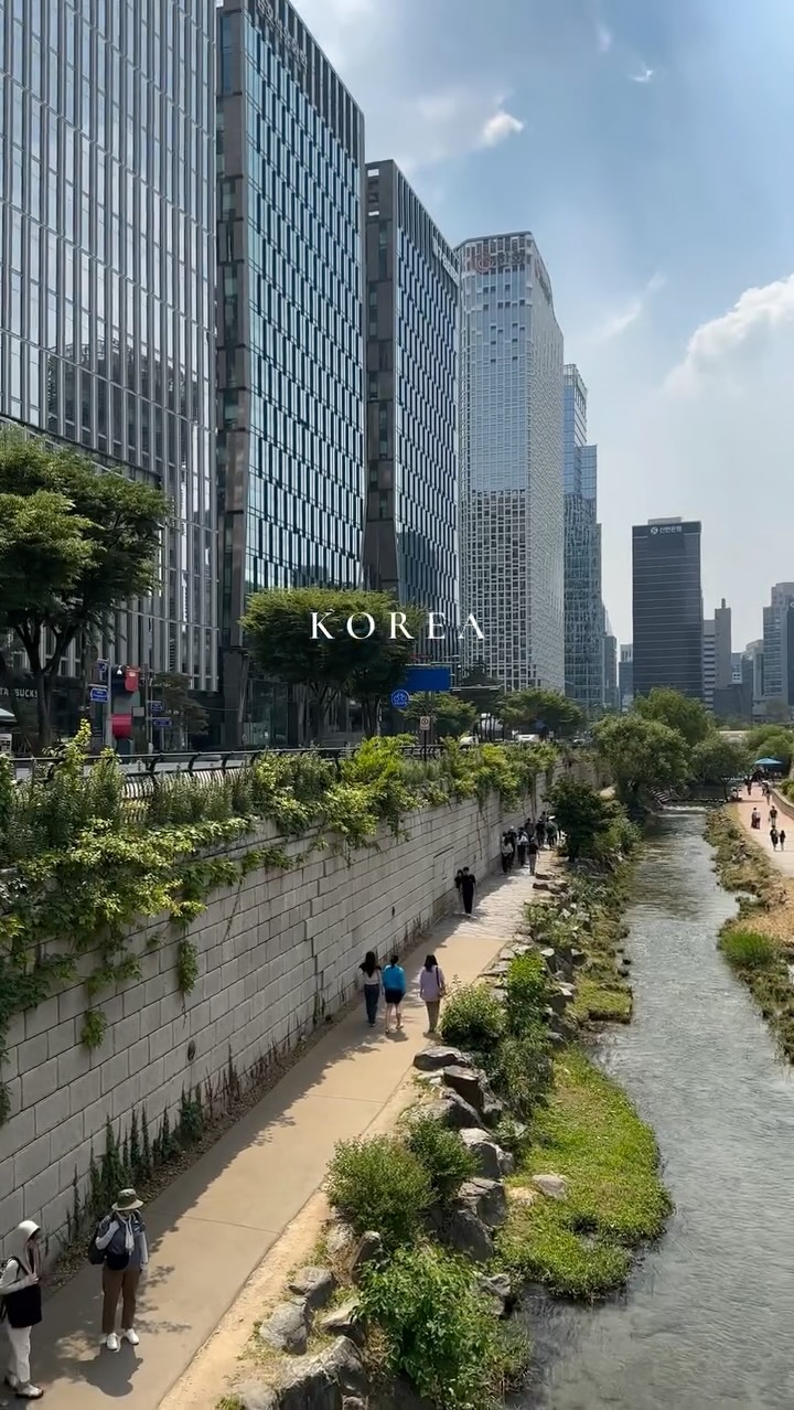Seoul's Top Attractions and Activities