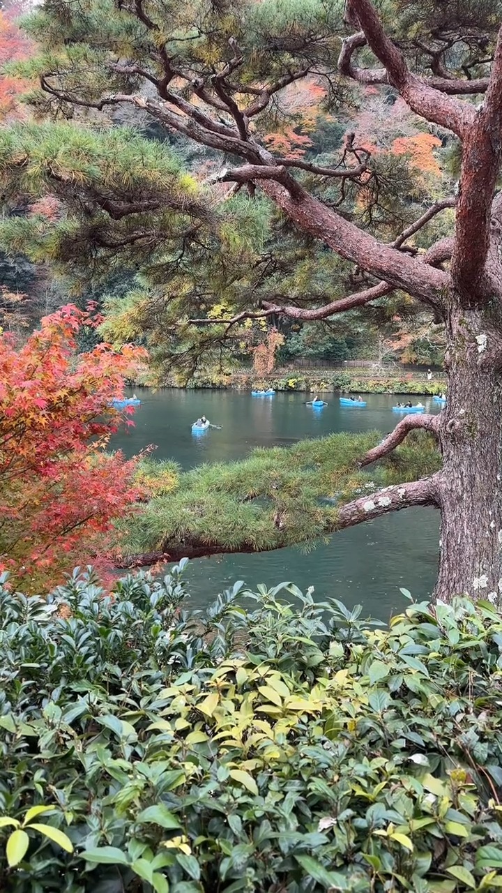 1 Cafes in Kyoto