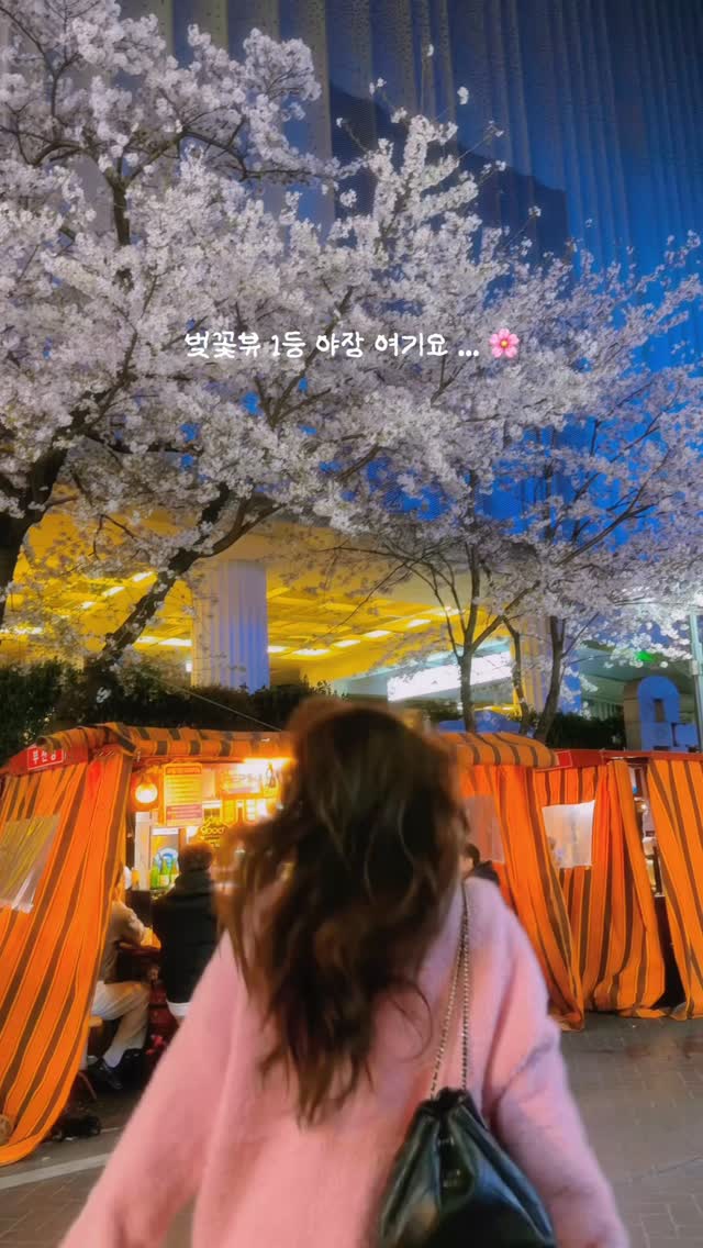 Busan Destinations for Cherry Blossoms and Street Food