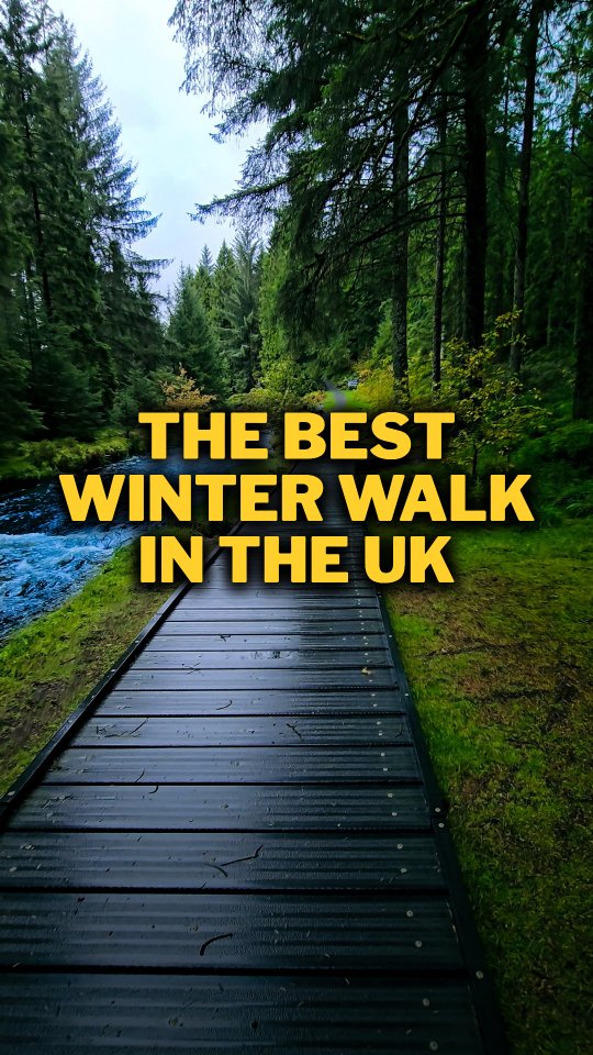 Hafren Forest: A Peaceful Mid-Wales Escape