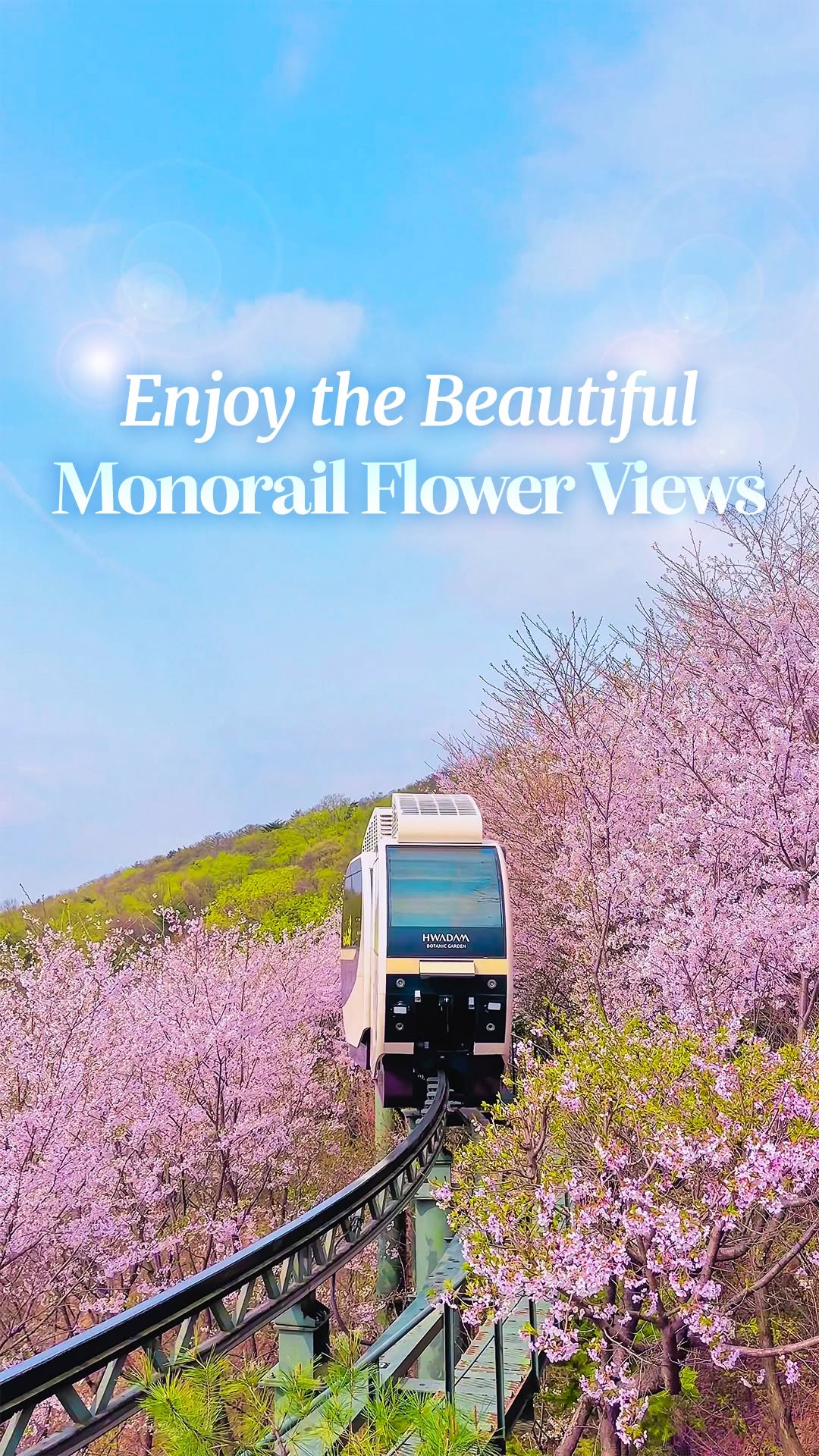 Hwadam Botanical Garden Offers Spring Daffodil Festival