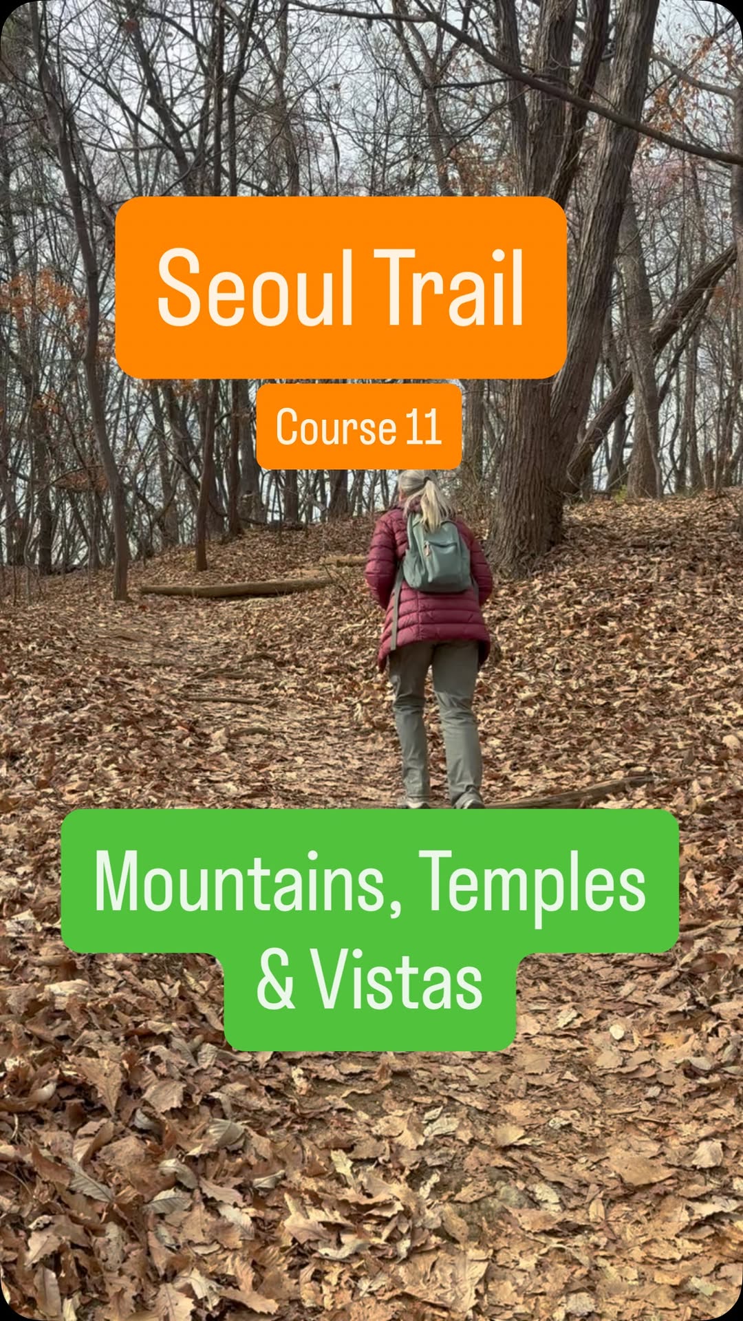 5 Places in Seoul