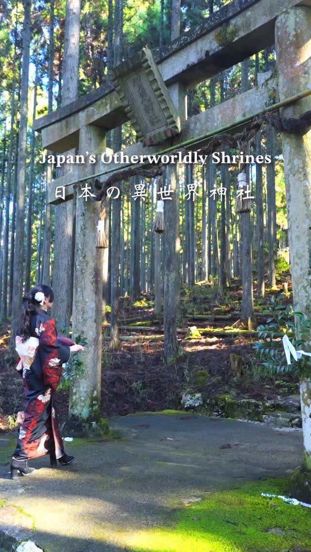 Shrines Featuring Towering Torii Gates