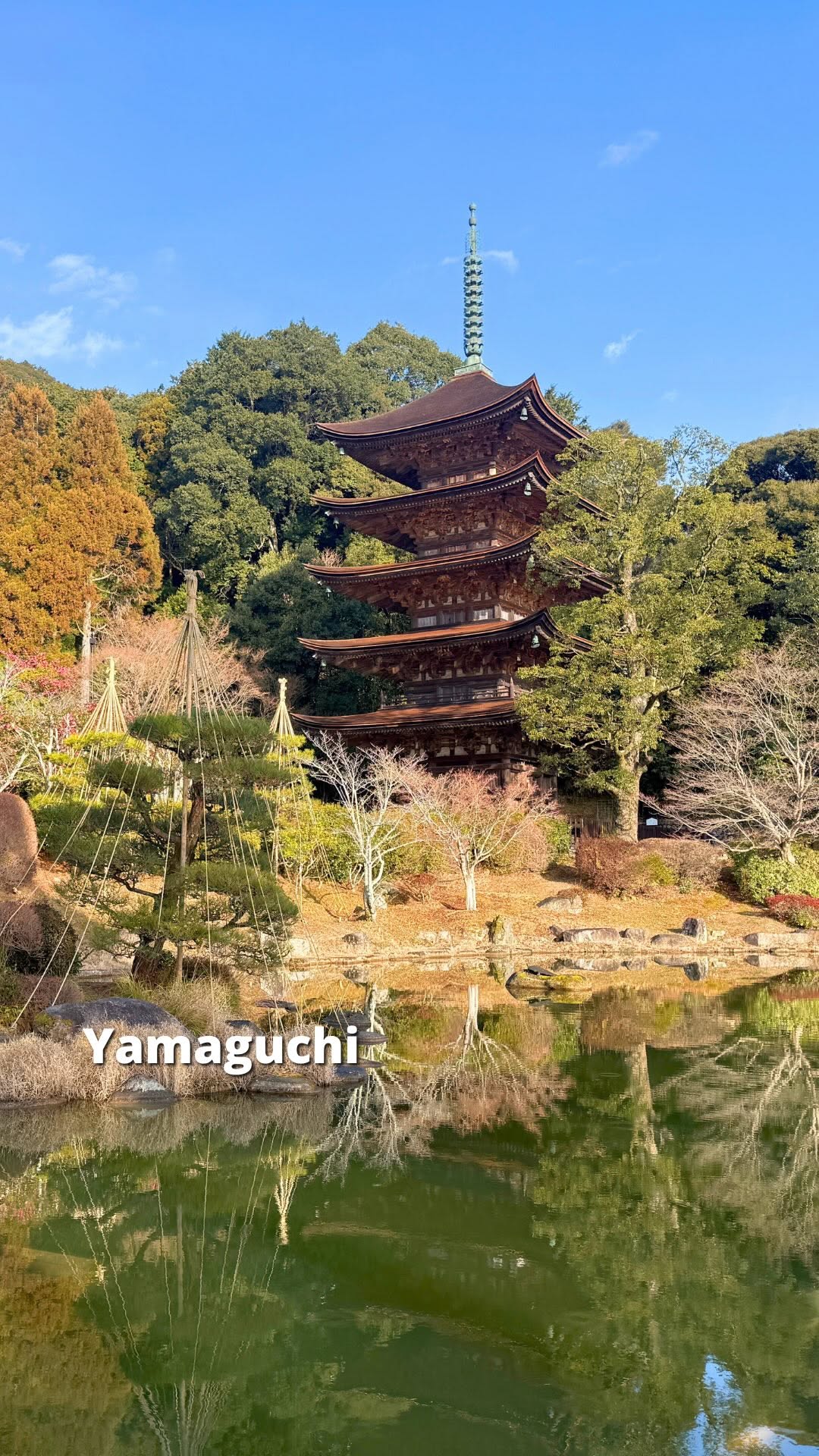 Hidden Gems: Yamaguchi, Fukuoka, and Hiroshima